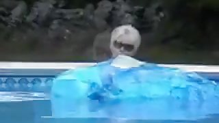 Blue whale inflating in swimming pool